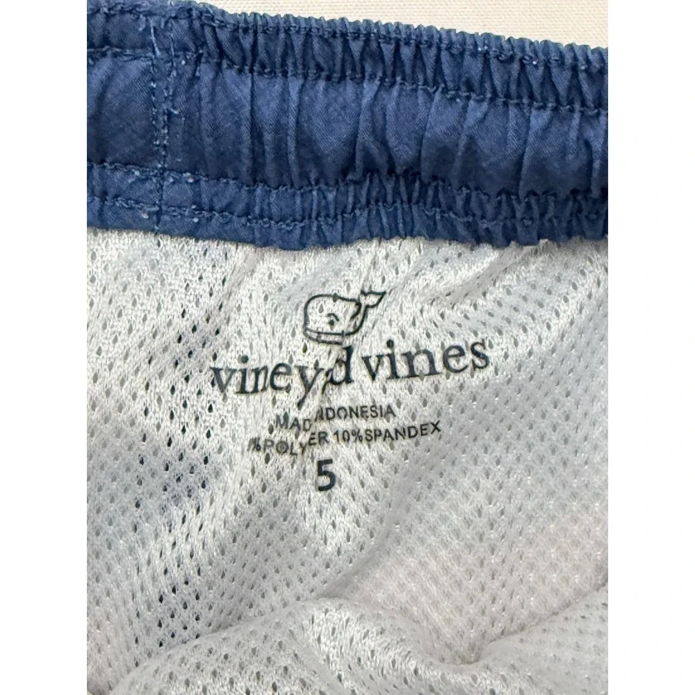VINEYARD VINES Boys 5 Blue Pink White Stripe Mesh Lined Swim Trunks NN1